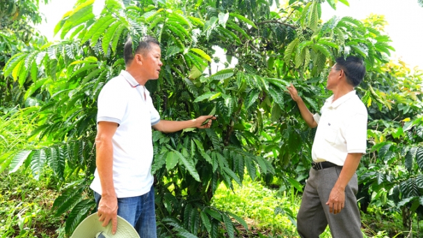 Choosing the path of clean agriculture: 'Matchmakers' helping farmers shift their mindset