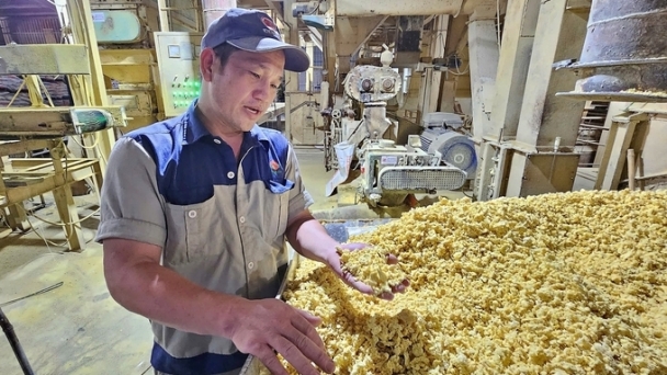 The visionary of developing livestock farming in Cuba