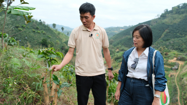 Natural shield against erosion and frost for Mai Son’s arabica coffee