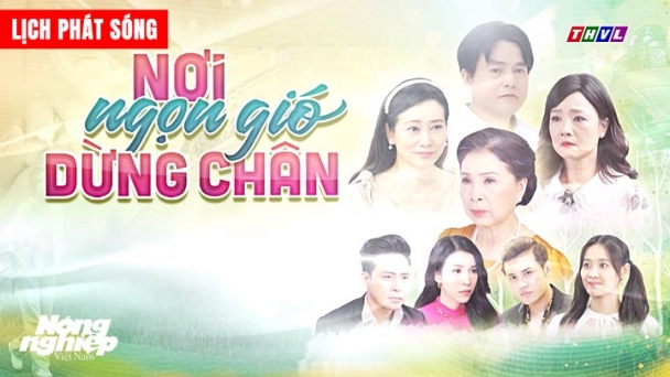 Lịch phát sóng Nơi ngọn gió dừng chân trên kênh THVL1