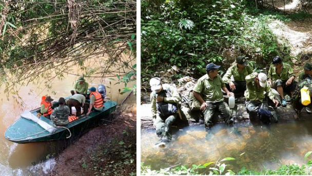 Lực lượng mỏng, địa bàn rộng, công tác bảo vệ rừng gặp khó