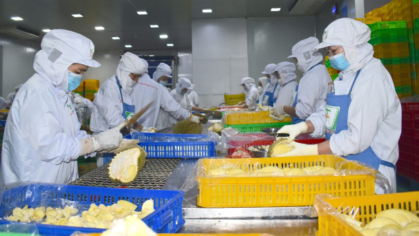 Xây dựng hệ thống tín dụng hướng tới nâng cao chất lượng việc làm