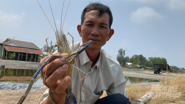 Hơn 370ha tôm nuôi bị thiệt hại do nắng nóng