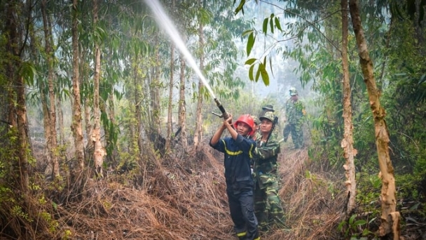 Nắng nóng gay gắt, Thủ tướng chỉ đạo khẩn phòng, chống cháy rừng