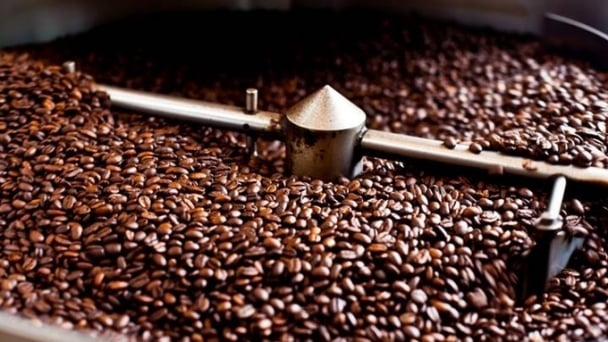 Giá cà phê hôm nay 2/5/2024: Thị trường tiếp tục giảm