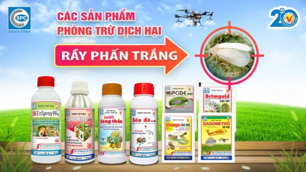 Phòng trị rầy phấn trắng hại lúa