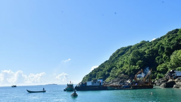 Ca Mau creates a 27,000-ha- marine protected area