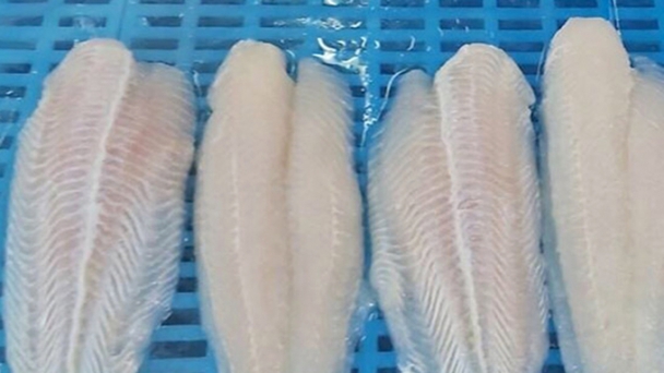 Many companies do not dump pangasius, according to DOC's preliminary findings