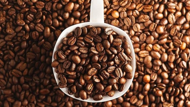 Coffee prices on 09/19/2024: Domestic prices rise slightly.