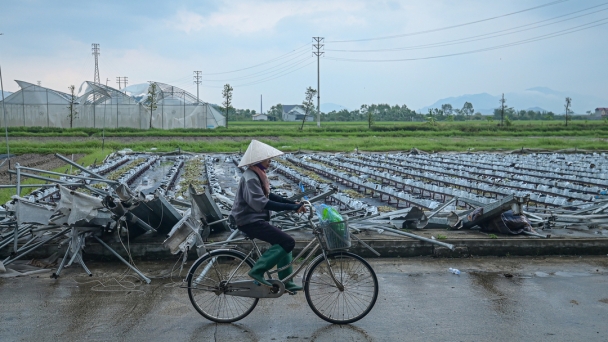 Nông trại hàng chục tỷ bị xé toạc, ngổn ngang như bãi đồng nát sau bão