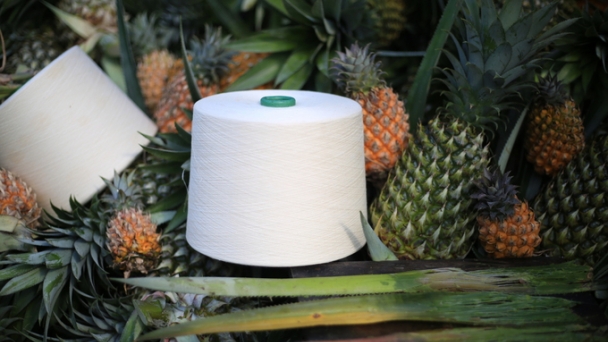 First large-scale production of fabric from pineapple leaves