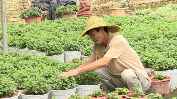 Urban agriculture allows people to balance their lives