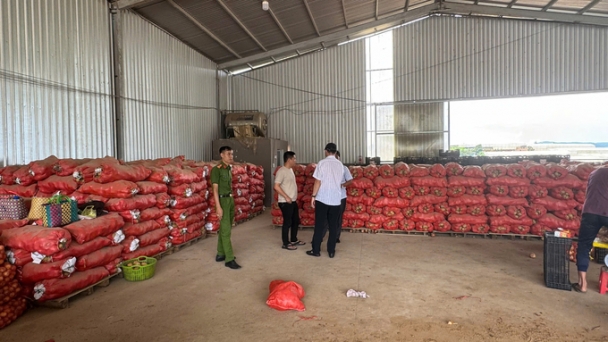 Da Lat City proposes a management solution for imported potatoes