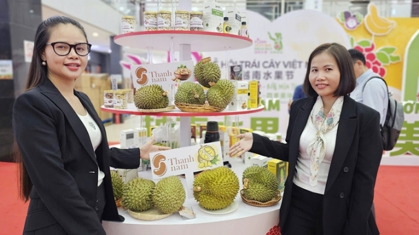 Vietnamese fruits poised to respond to China’s diversified demands