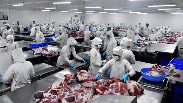 Circular 04 helps detect over 1,300 tons of Salmonella-contaminated imported meat