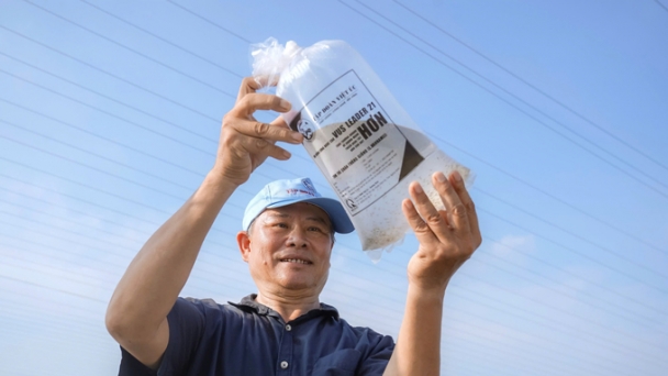 Viet Uc Group provided 57 million shrimp seedlings to aid shrimp farming recovery after the storm