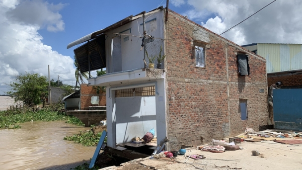 The Mekong Delta loses around 600 - 800 hectares of land annually due to erosion