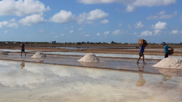 Working with the Ministry of Agriculture, Agrifood, and Forestry of France on enhancing salt grain value