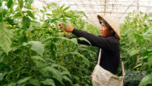 Agriculture is the second-largest source of greenhouse gas emissions in Vietnam