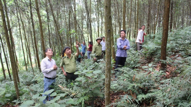 Vietnam has first forest production unit code