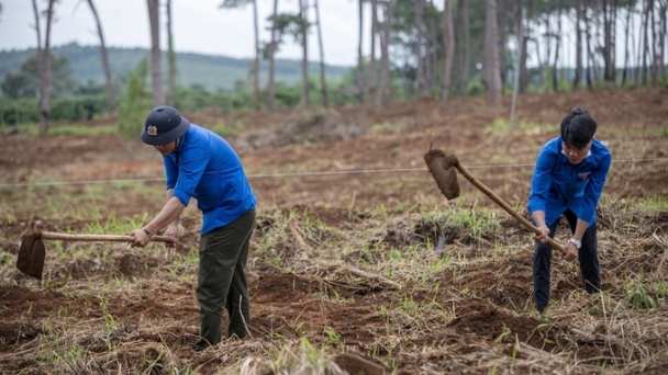 Thanh Hoa promotes afforestation according to FSC standards