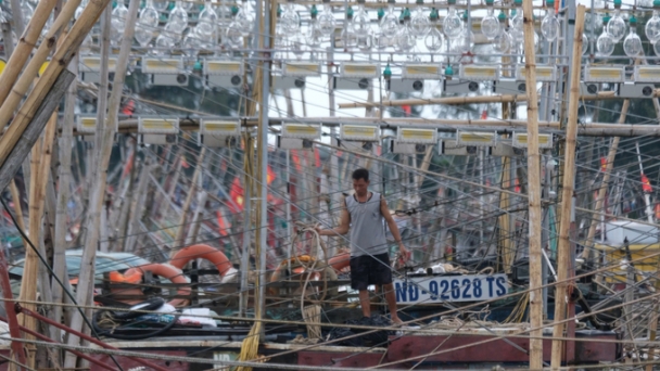 To combat IUU fishing, 100% of fishing vessels in Nam Dinh province are registered