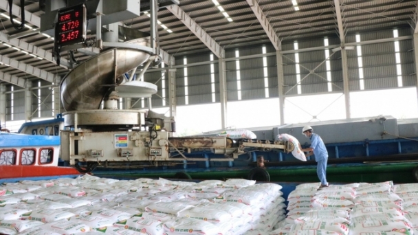 Fertilizer exports regain growth momentum