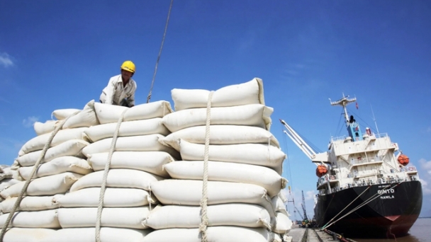 The average export rice prices reached $ 626/ton