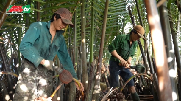 OCOP products' journey to conquer foreign customers: Ho Chi Minh City with unique OCOP products