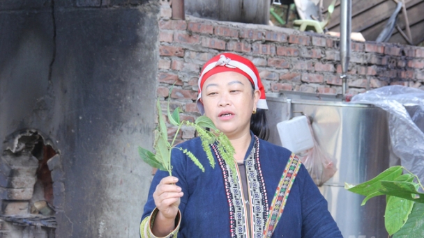 Đưa cây thuốc đi xa hơn bản làng