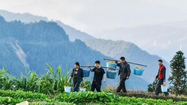 Xi urges deepening rural reform, building up strength in agriculture