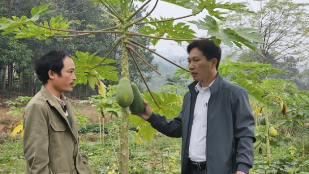 Dùng nước tưới tiết kiệm để chống hạn cho vụ xuân