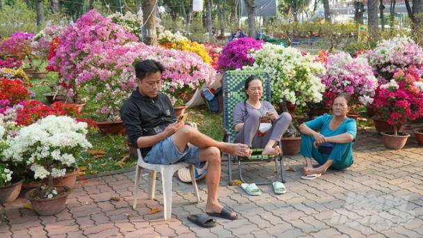 Chợ hoa Tết vắng người mua, tiểu thương lo lắng