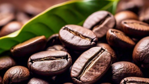 Coffee prices set a new peak during the Tet holiday