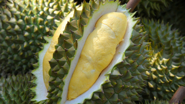 China spends nearly 3 billion USD to buy Vietnamese durian