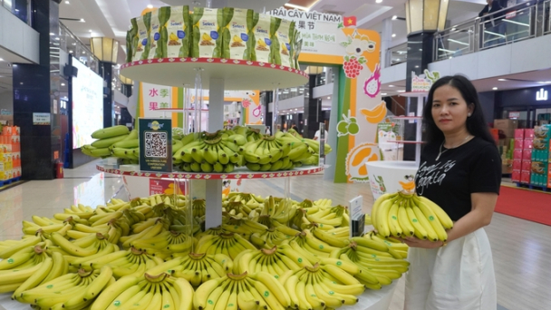 Top 5 greatest banana suppliers to China, Vietnam stands lead