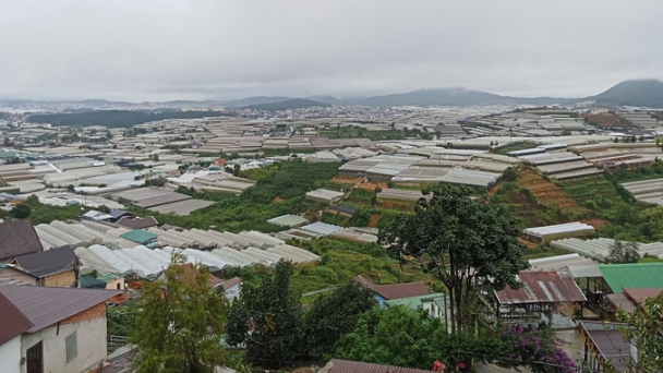 Da Lat’s flower industry and the consequences of greenhouse