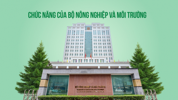 Các lĩnh vực quản lý và cơ cấu tổ chức của Bộ Nông nghiệp và Môi trường