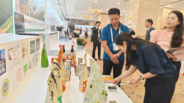 Boost Vietnam's pepper and spice industry in a sustainable way