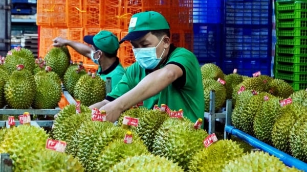 Fruit and vegetable exports fell by 11% in the first two months