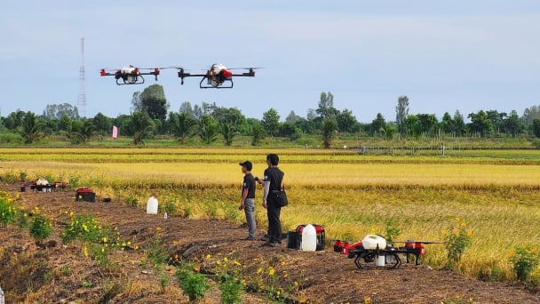 Technology and digital transformation in agriculture are not yet booming