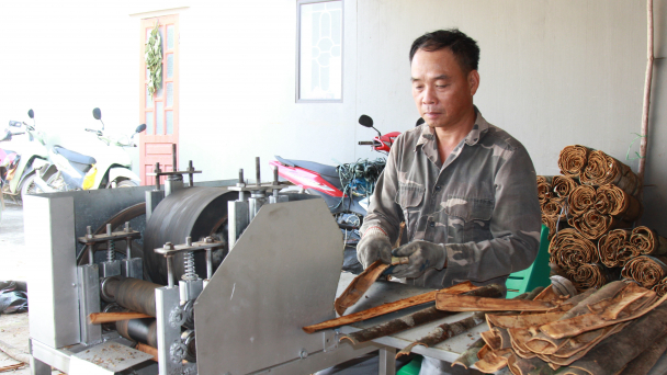 Nông cụ sơ chế quế của những 'kỹ sư nông dân'