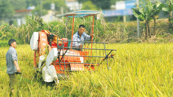 Khai thác thuỷ lợi: Đáp ứng chuyển đổi, phát triển kinh tế nông nghiệp