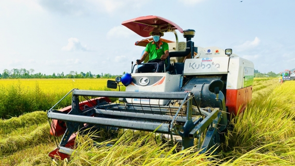 Nông nghiệp vùng ĐBSCL thắng lợi trong bối cảnh nguyên liệu đầu vào tăng cao