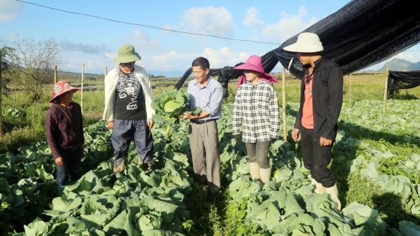 Sản xuất hữu cơ đẩy lùi thuốc bảo vệ thực vật trôi nổi