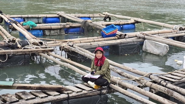 Mariculture left in tears and debt: There’s life, there’s hope