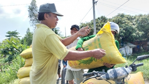 Vĩnh Long: Diện tích lúa giảm, cây ăn trái tăng nhanh