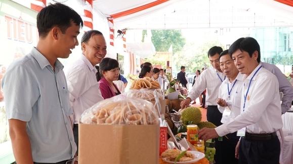 Vĩnh Long: Lấy du lịch thương mại làm điểm đột phá trong hợp tác với TP.HCM