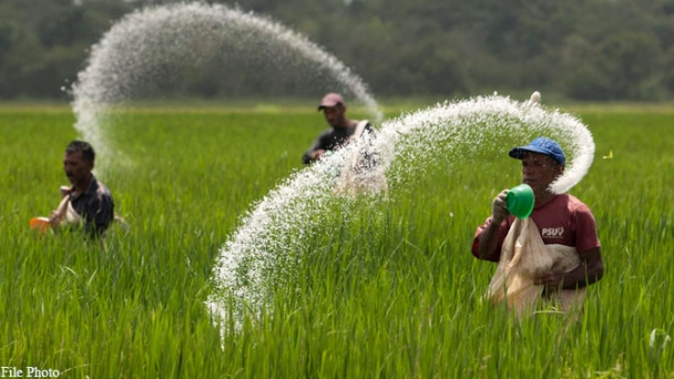 Food prices poised to surge with fertilizer at highest in years