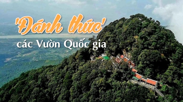 Chuyện của 5 kiểm lâm viên & hơn 8.000ha rừng ở Tả Van